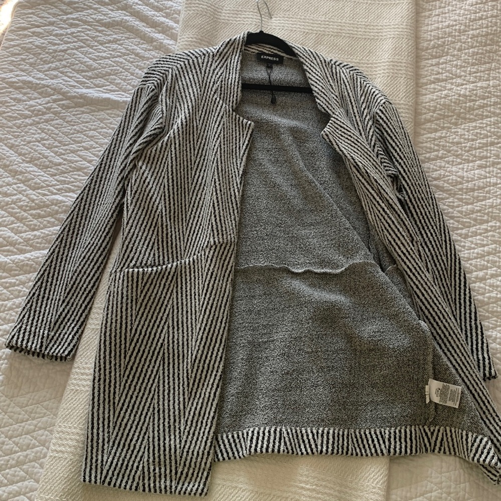 Express long sweater